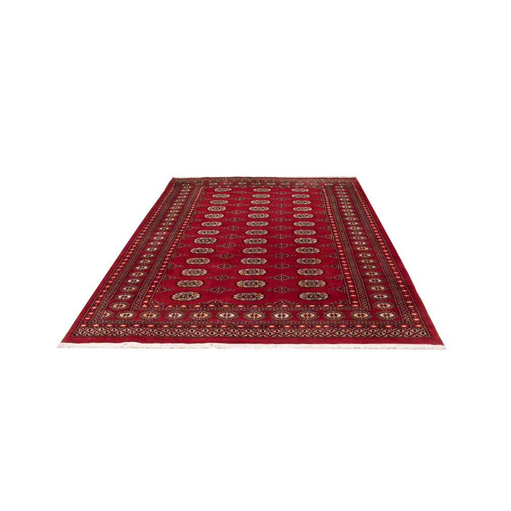 Pakistani Rug - 266 x 167 cm - red