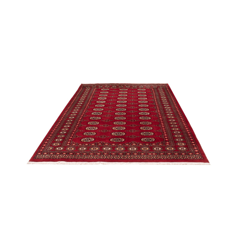 Pakistani Rug - 266 x 167 cm - red
