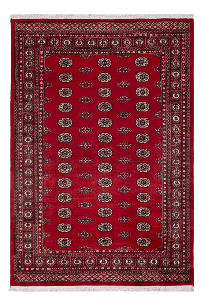 Pakistani Rug - 239 x 164 cm - red