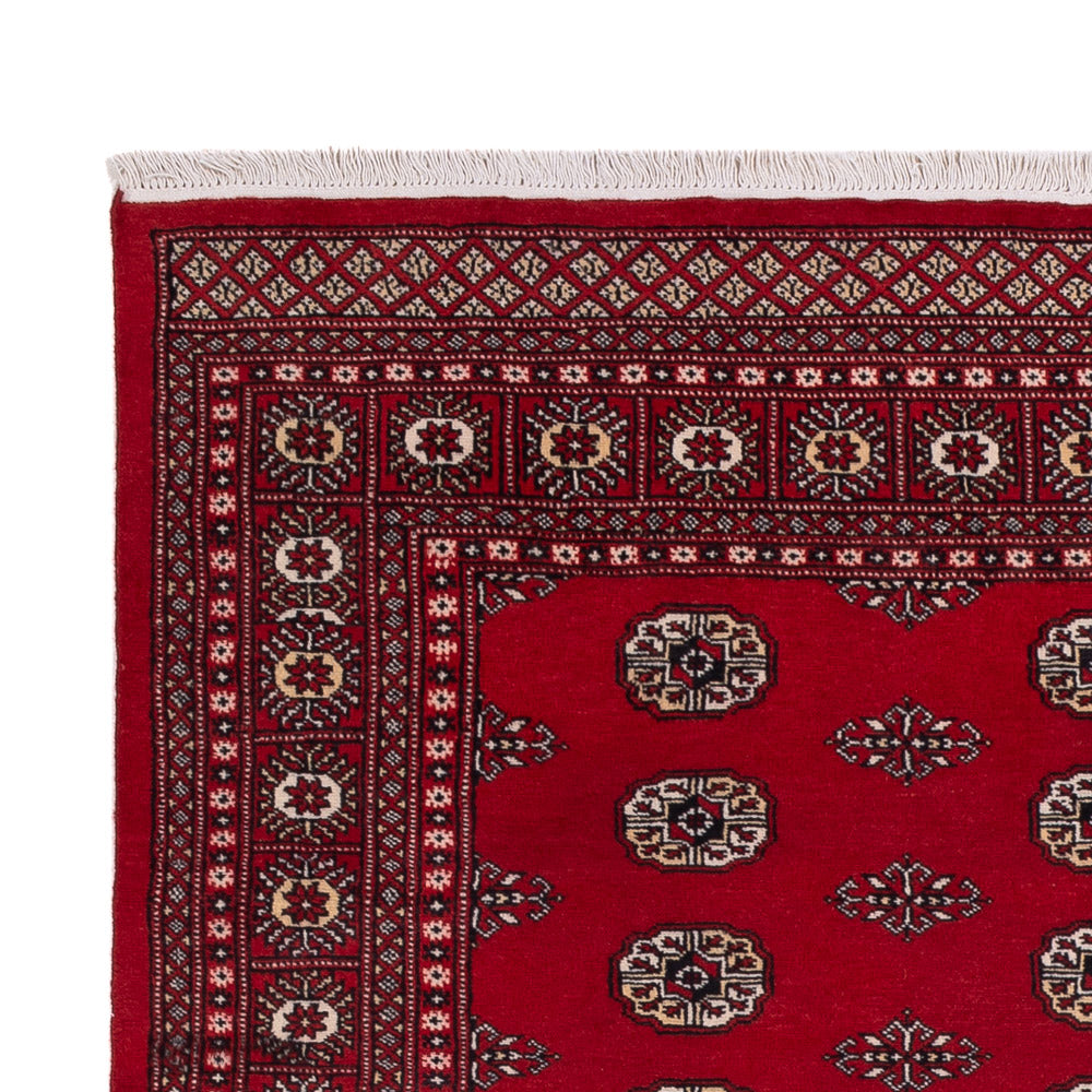 Pakistani Rug - 239 x 164 cm - red