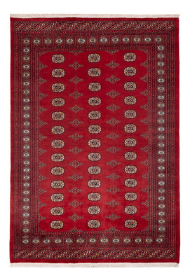 Pakistani Rug - 235 x 165 cm - red