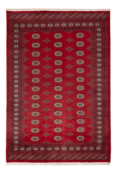 Pakistani Rug 165x235cm - Oriental Rug