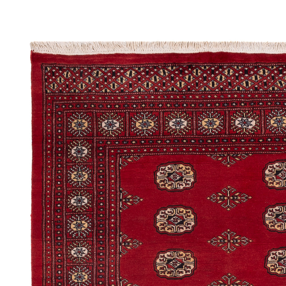Pakistani Rug 235x165cm - Oriental Rug