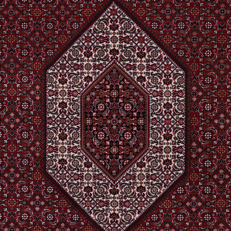 Oriental Rug - Bidjar - Indus - 298 x 200 cm - dark camel