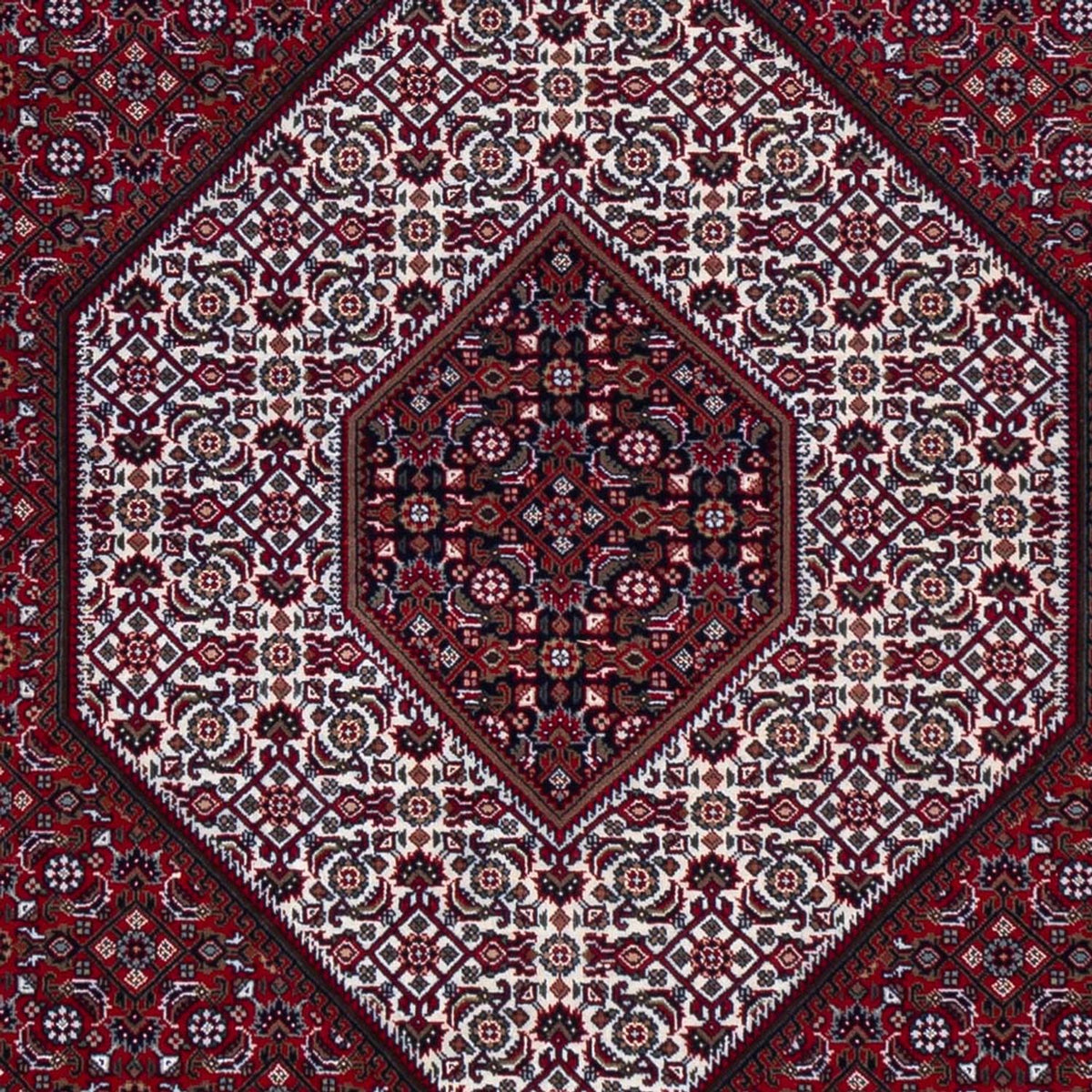 Oriental Rug - Bidjar - Indus - 305 x 251 cm - dark red