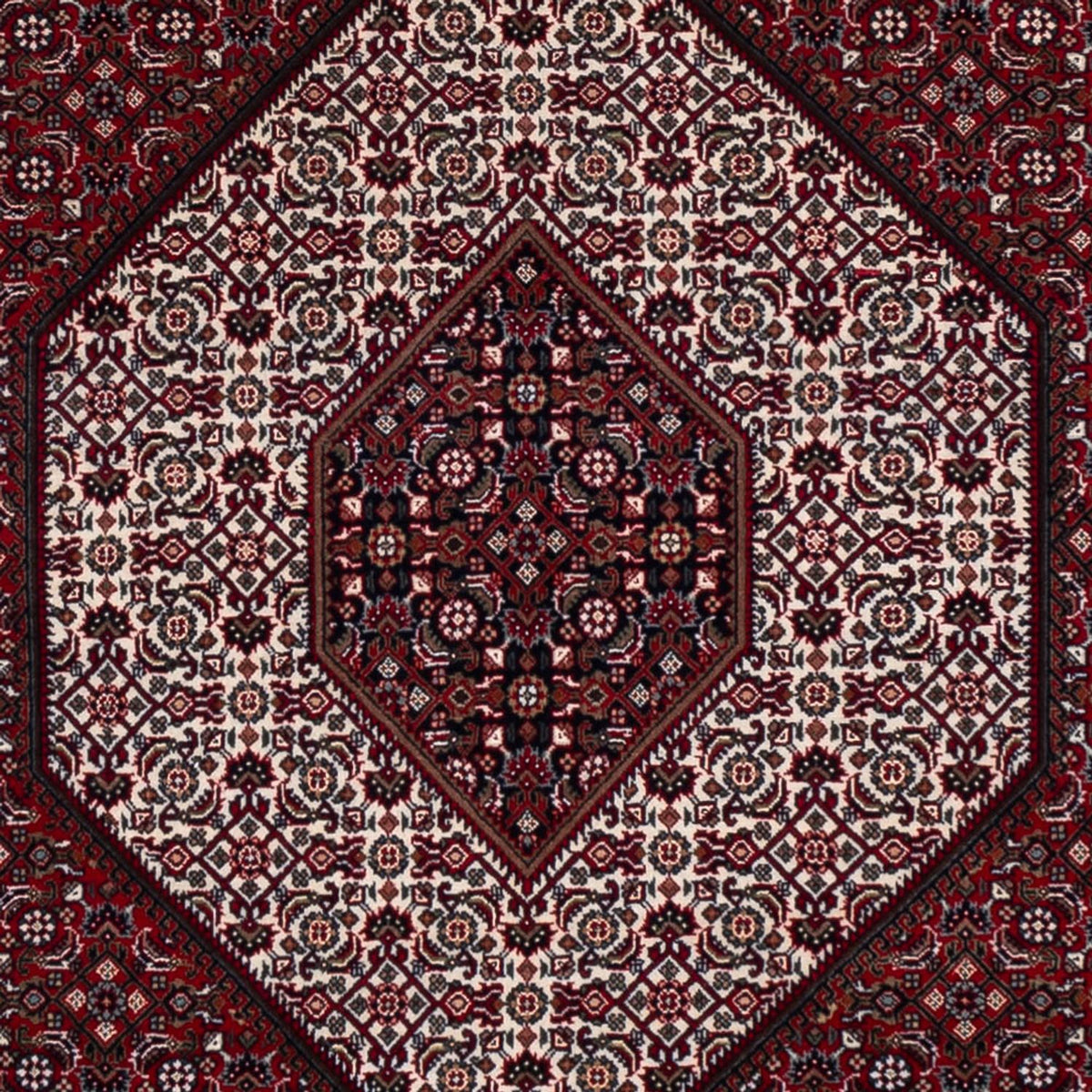 Oriental Rug - Bidjar - Indus - 304 x 251 cm - dark red