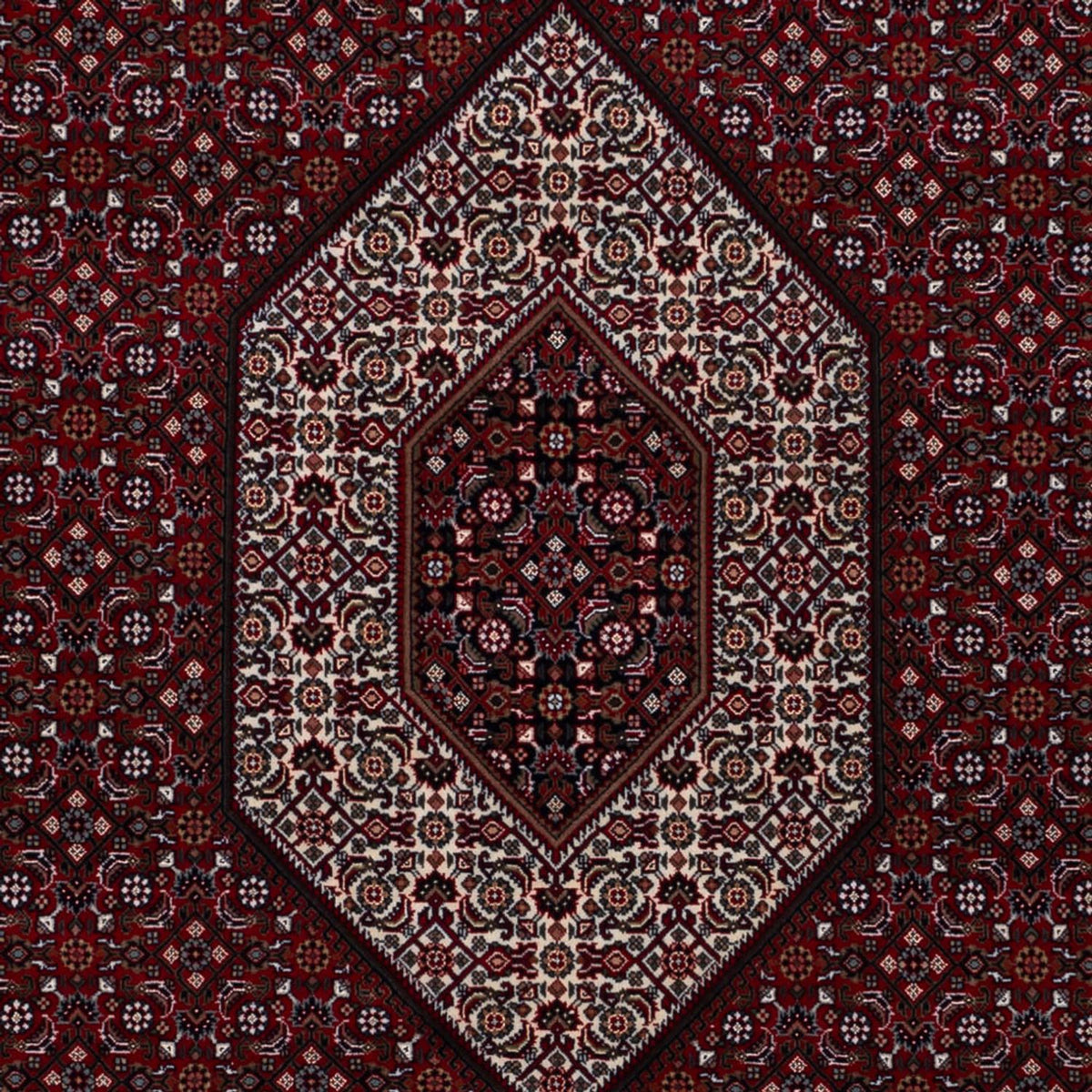 Oriental Rug - Bidjar - Indus - 305 x 198 cm - dark camel