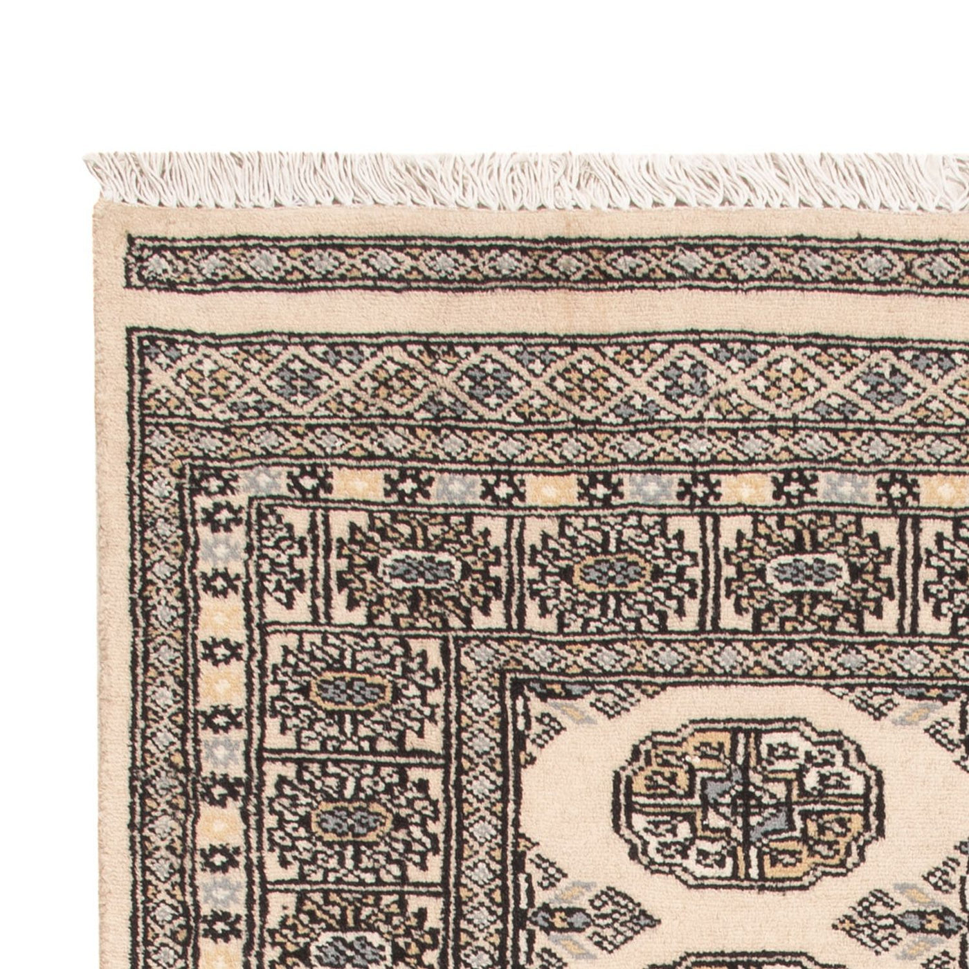 Pakistani Rug 159x93cm - Oriental Rug