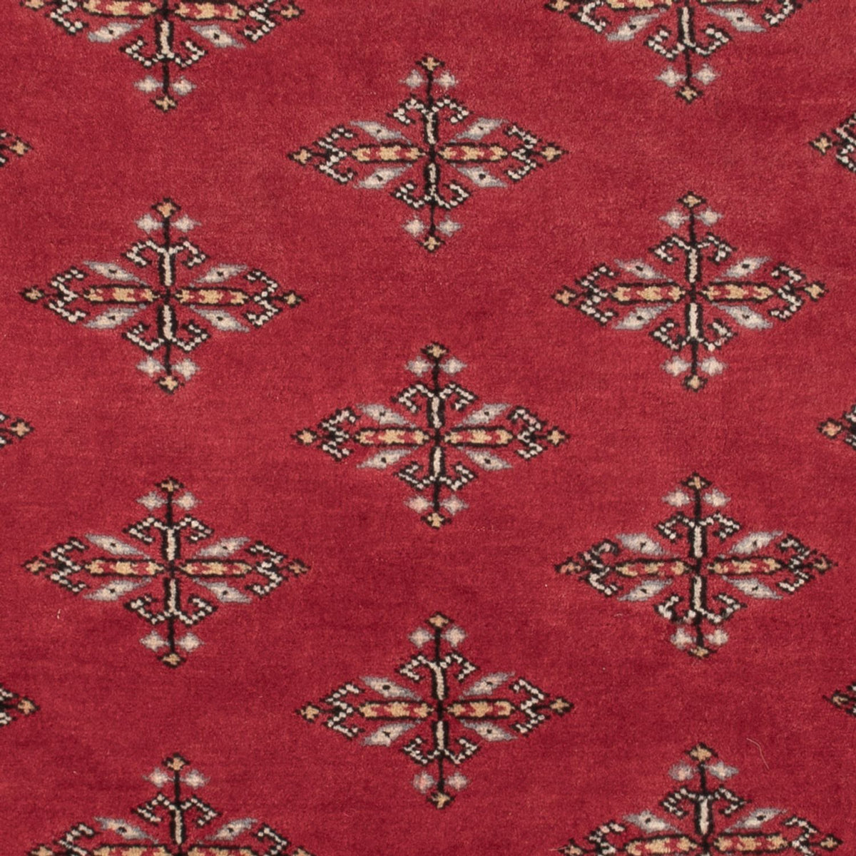 Pakistani Rug - 150 x 95 cm - red
