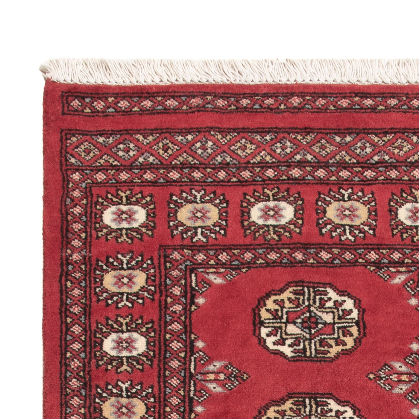 Pakistani Rug 156x92cm - Oriental Rug
