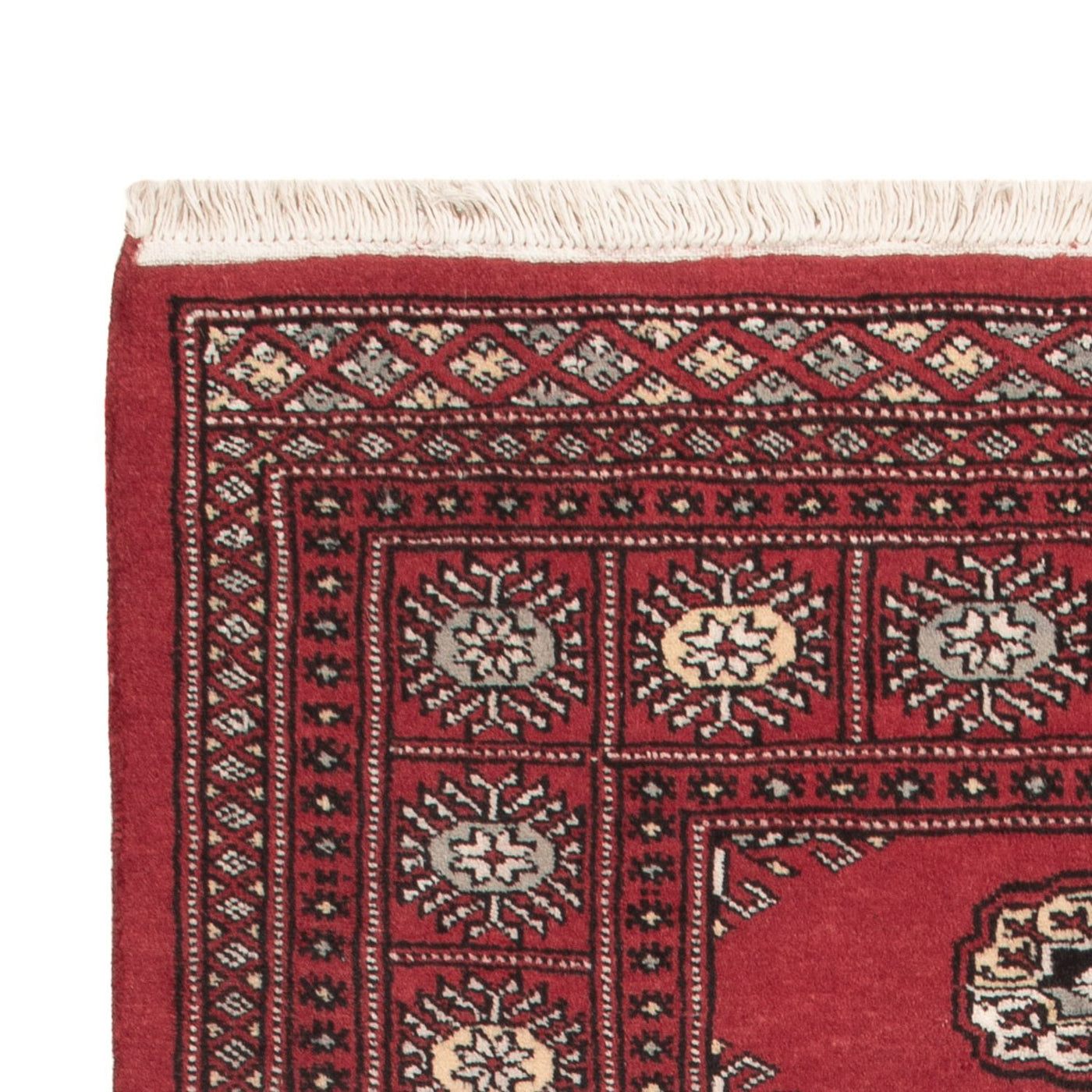 Pakistani Rug 163x94cm - Oriental Rug