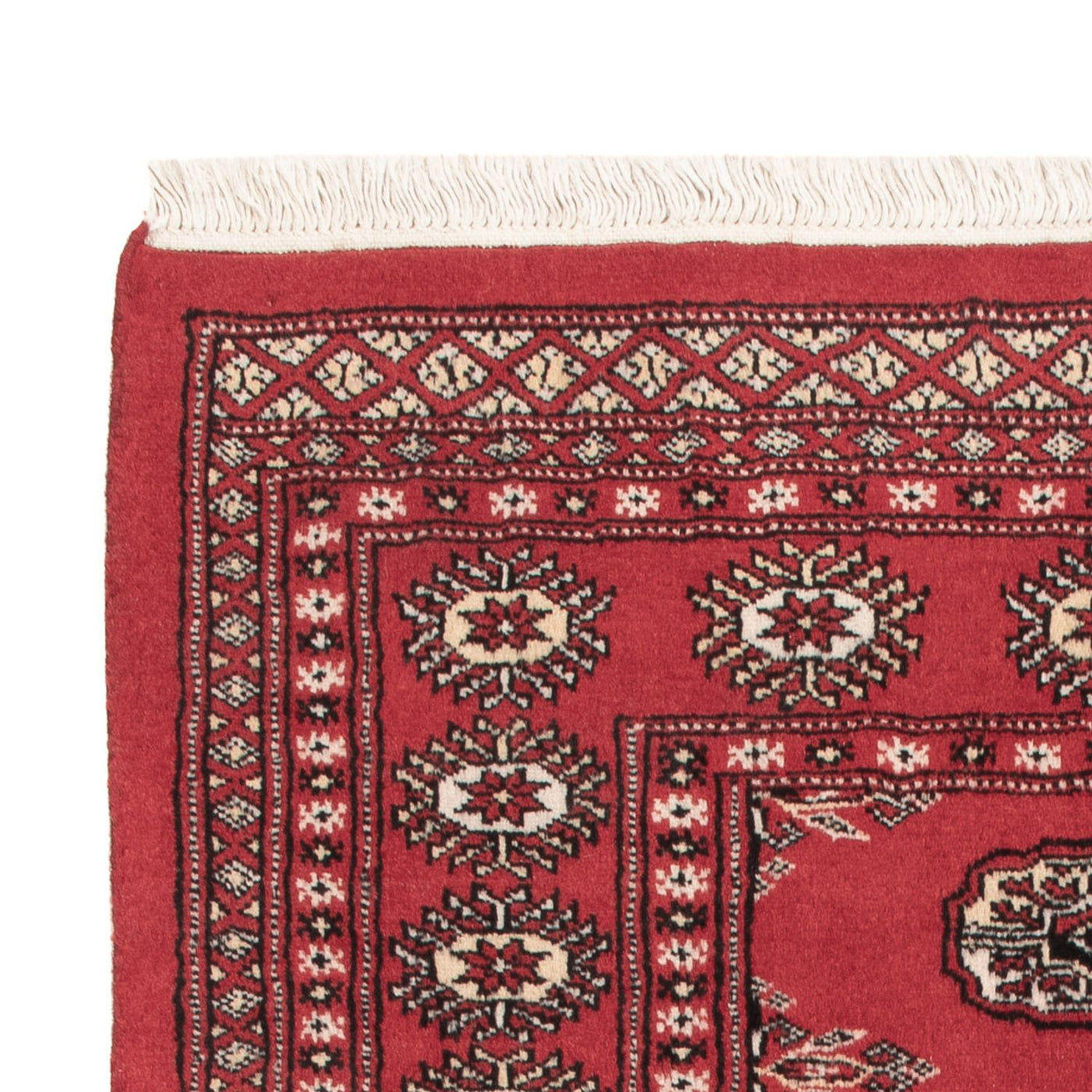 Pakistani Rug 150x90cm - Oriental Rug