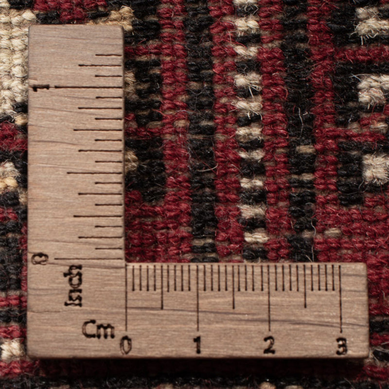 Pakistani Rug - 152 x 97 cm - red