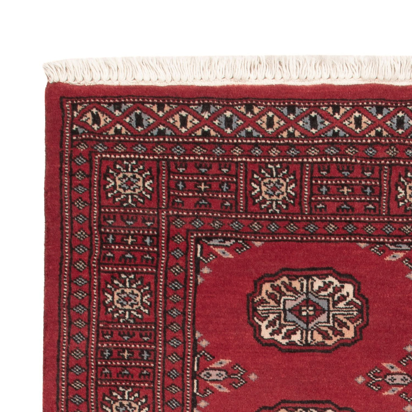 Pakistani Rug 156x96cm - Oriental Rug
