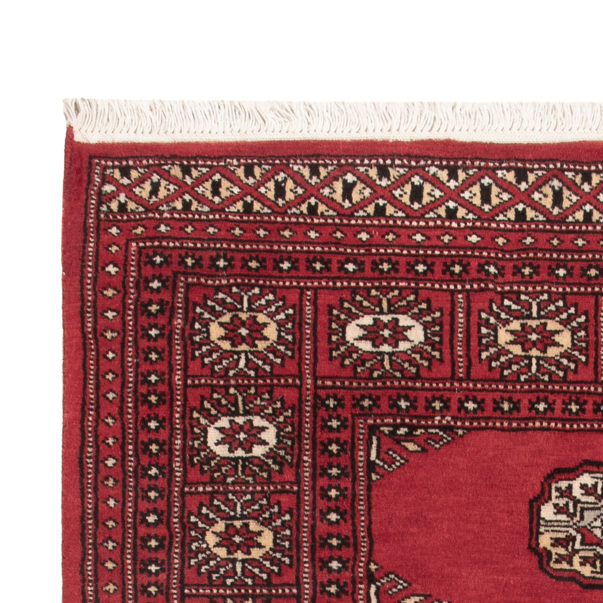 Pakistani Rug 90x146cm - Oriental Rug