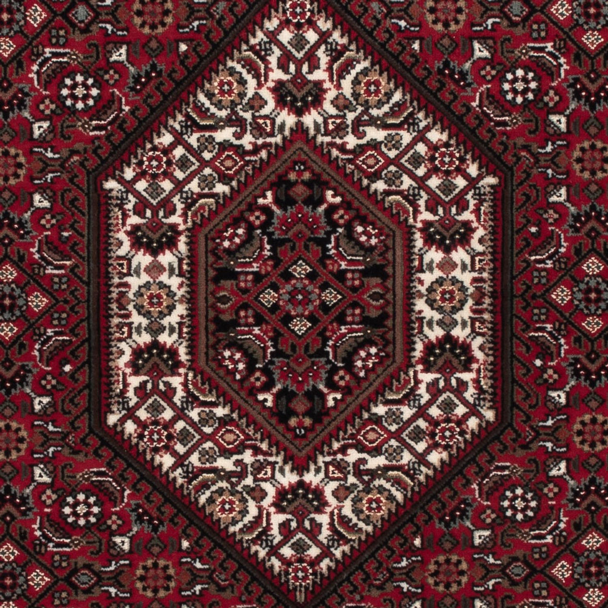 Oriental Rug - Bidjar - Indus - 160 x 92 cm - dark beige