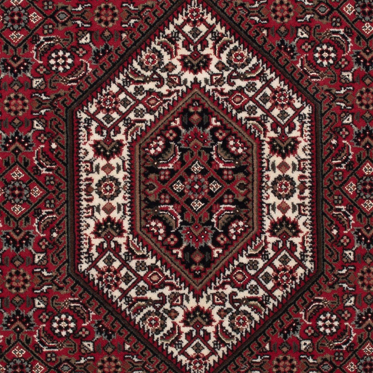 Oriental Rug - Bidjar - Indus - 160 x 90 cm - dark beige