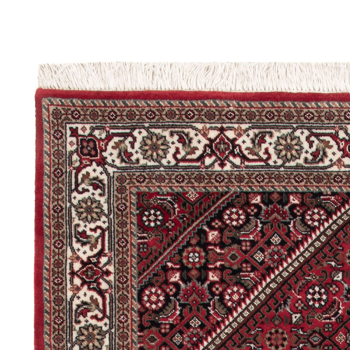 Oriental Rug - Bidjar - Indus - 160 x 92 cm - dark beige