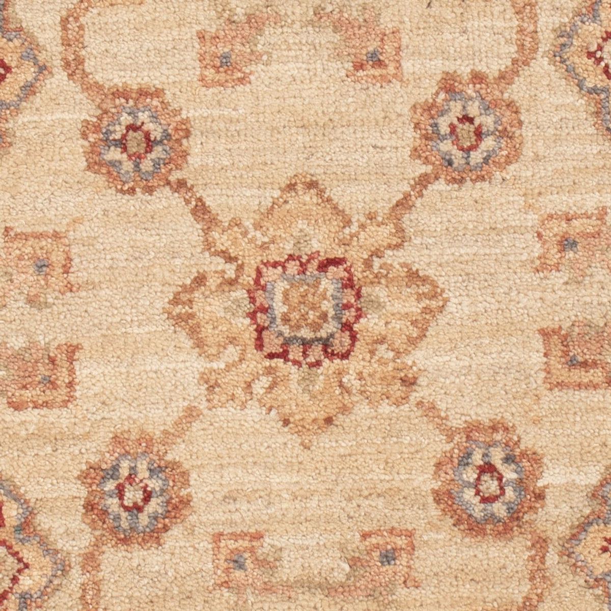 Ziegler Rug - 90 x 58 cm - beige