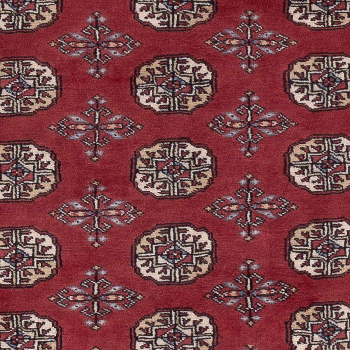 Pakistani Rug - 182 x 125 cm - red