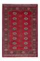 Pakistani Rug 185x126cm - Oriental Rug