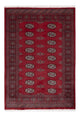 Pakistani Rug 178x122cm - Oriental Rug