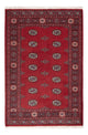 Pakistani Rug 184x126cm - Oriental Rug