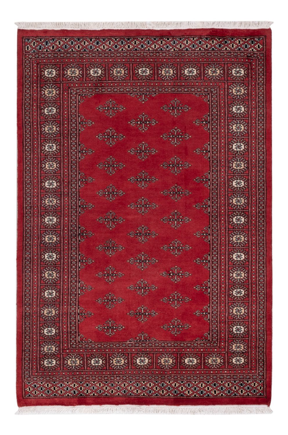 Pakistani Rug - 183 x 124 cm - red