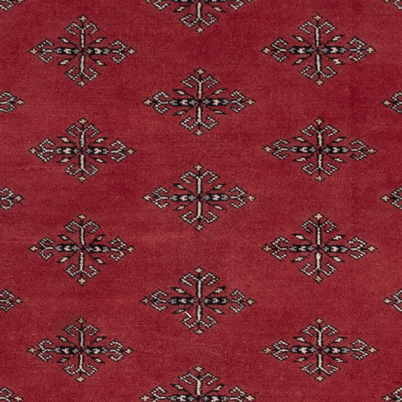 Pakistani Rug - 183 x 124 cm - red