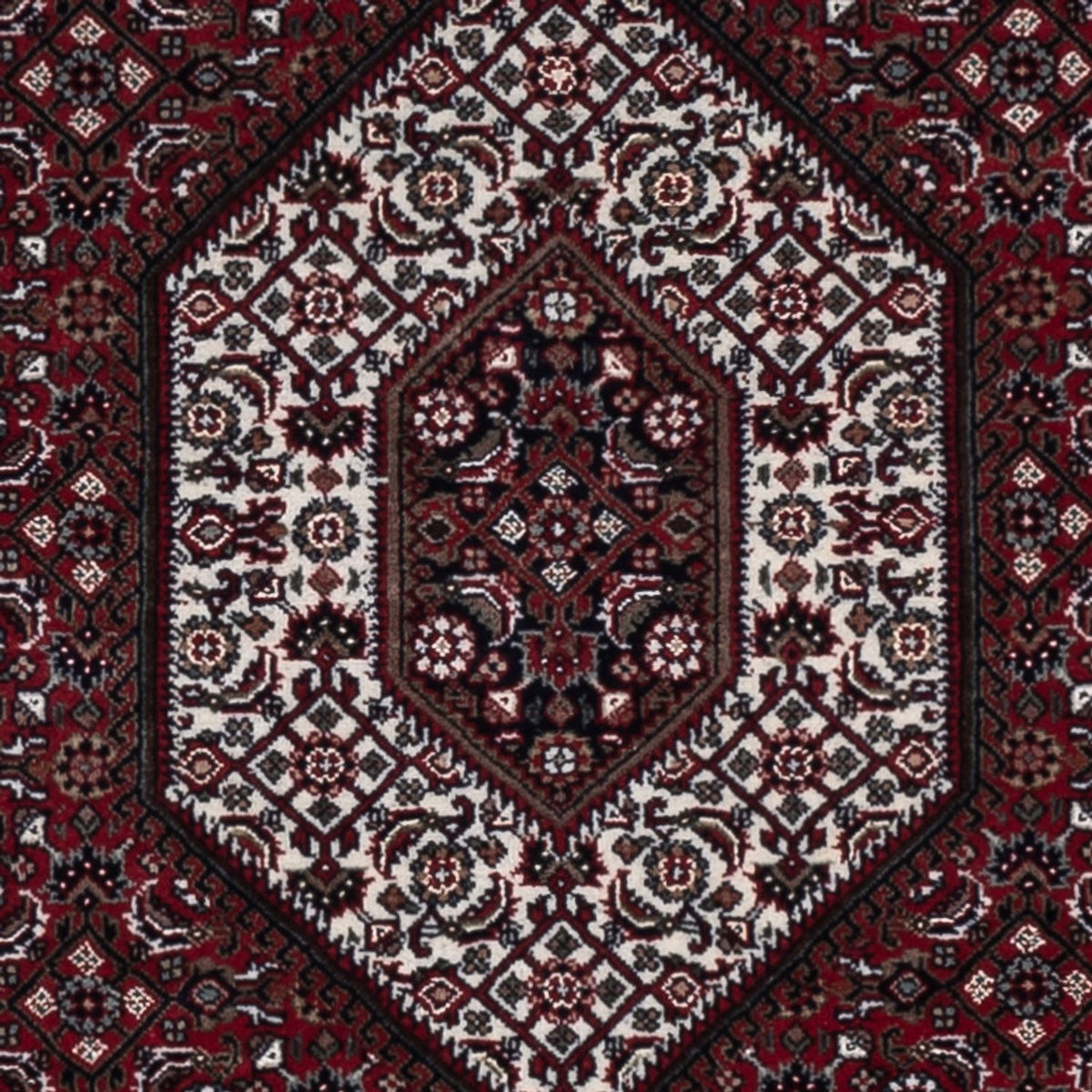 Oriental Rug - Bidjar - Indus - 182 x 123 cm - dark beige