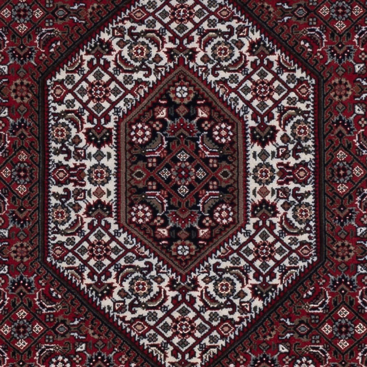 Oriental Rug - Bidjar - Indus - 179 x 122 cm - dark beige
