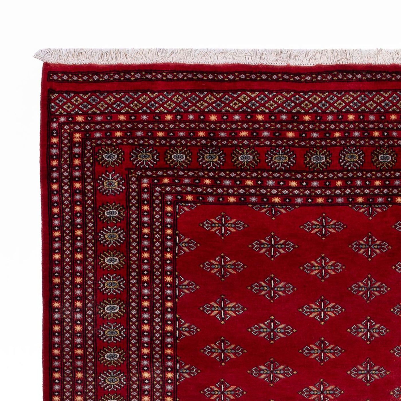 Buchara Teppich 350x253cm - Orientteppich