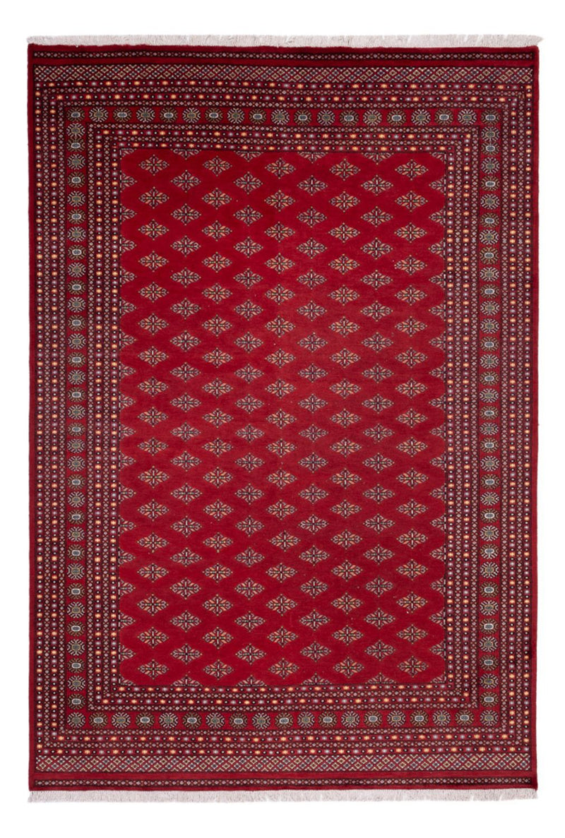 Afghan Rug - Bukhara - 365 x 249 cm - red