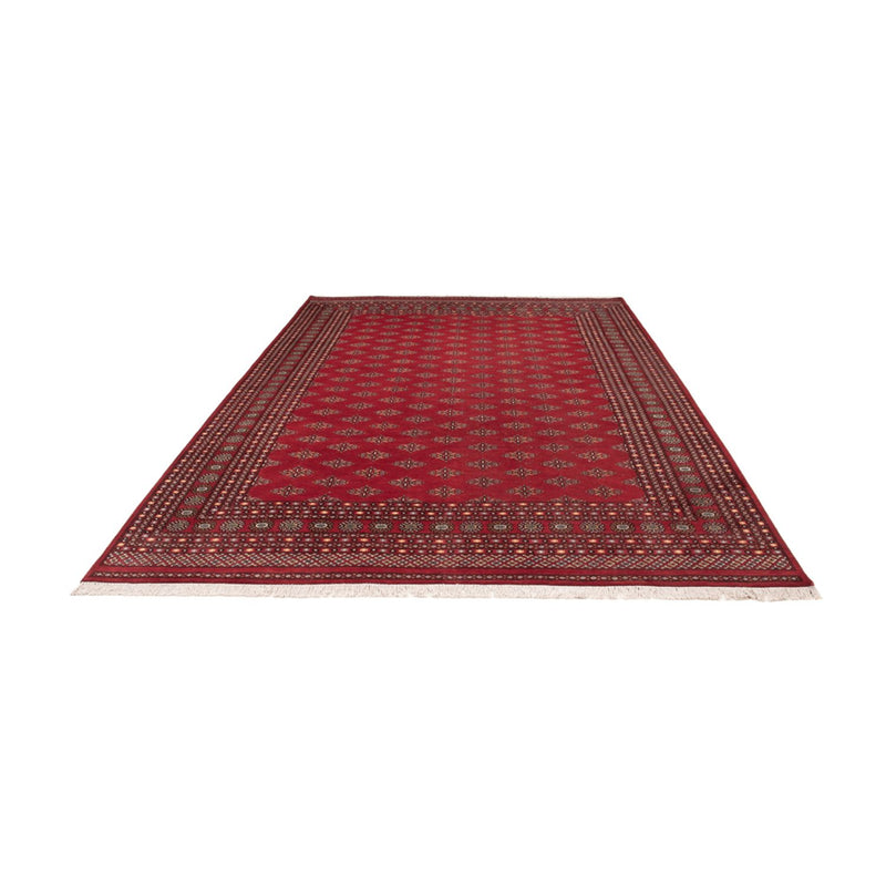 Afghan Rug - Bukhara - 365 x 249 cm - red