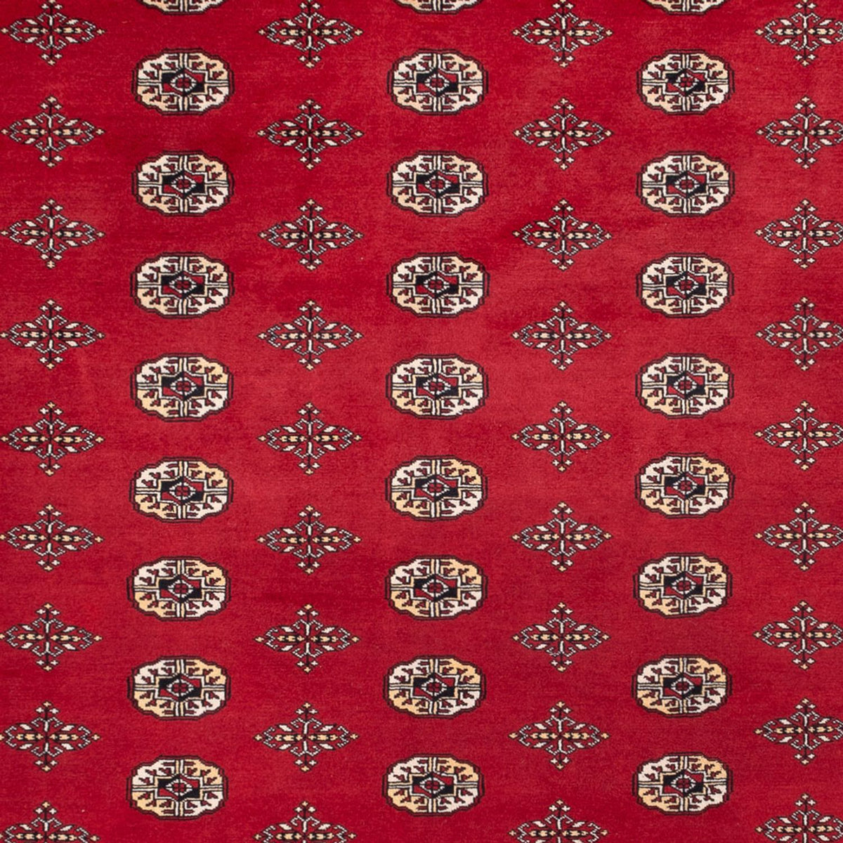 Afghan Rug - Bukhara - 369 x 275 cm - red