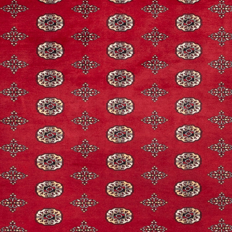 Afghan Rug - Bukhara - 369 x 275 cm - red