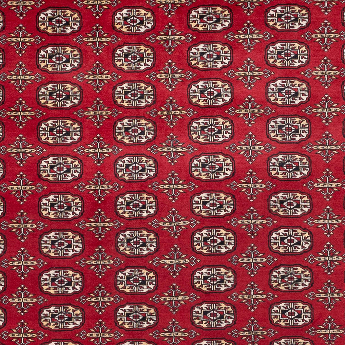 Afghan Rug - Bukhara - 346 x 241 cm - red