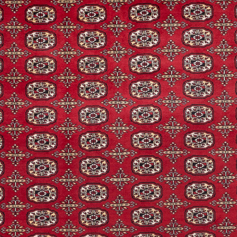 Afghan Rug - Bukhara - 346 x 241 cm - red