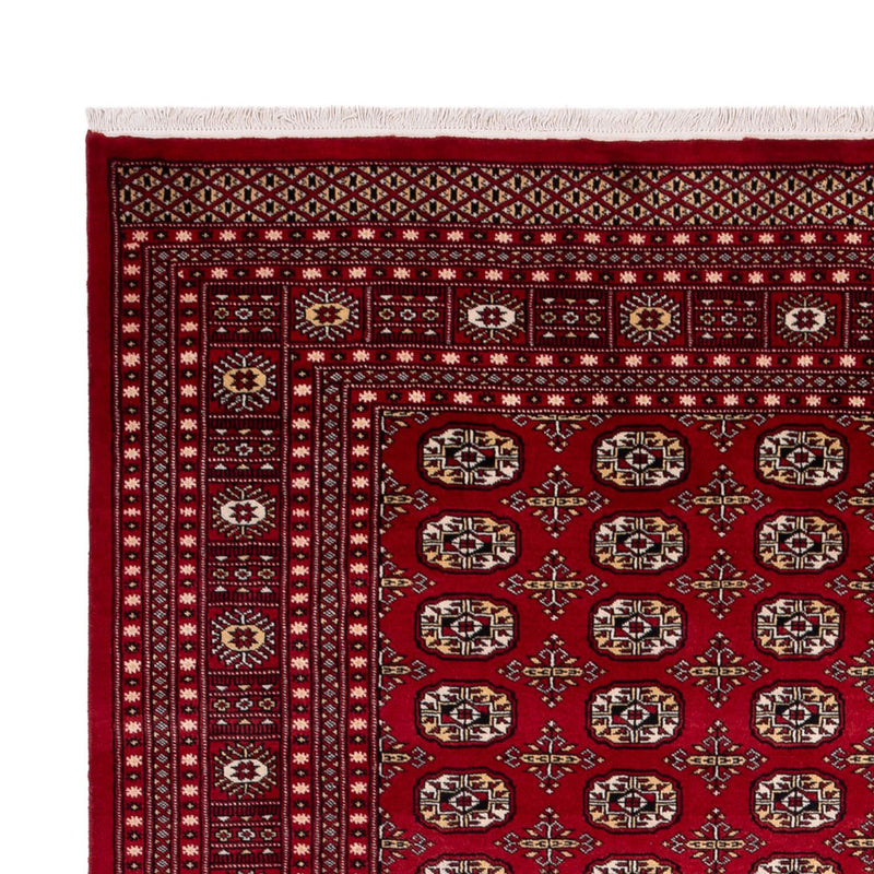 Afghan Rug - Bukhara - 346 x 241 cm - red