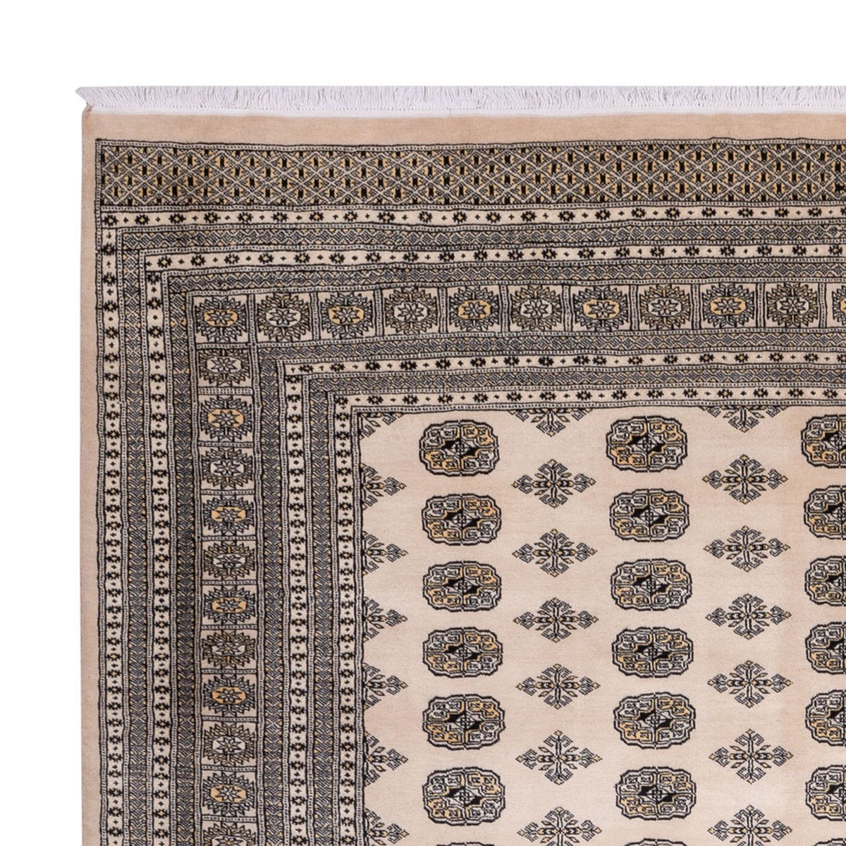 Afghan Rug - Bukhara - 359 x 278 cm - beige