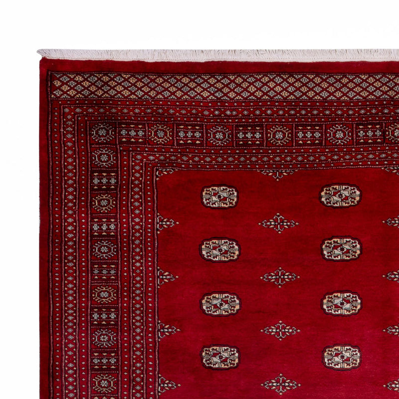 Afghan Rug - Bukhara - 364 x 283 cm - red