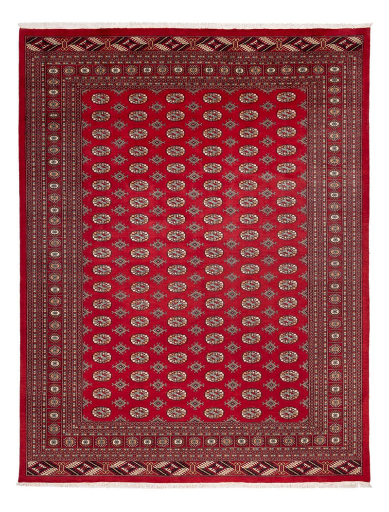 Afghan Rug - Bukhara - 354 x 275 cm - red