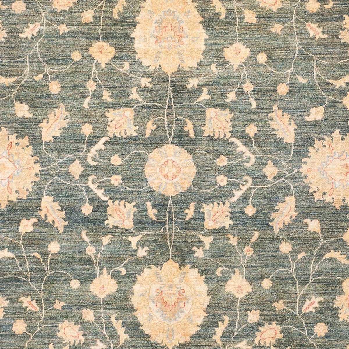 Ziegler Rug - 392 x 302 cm - mint green