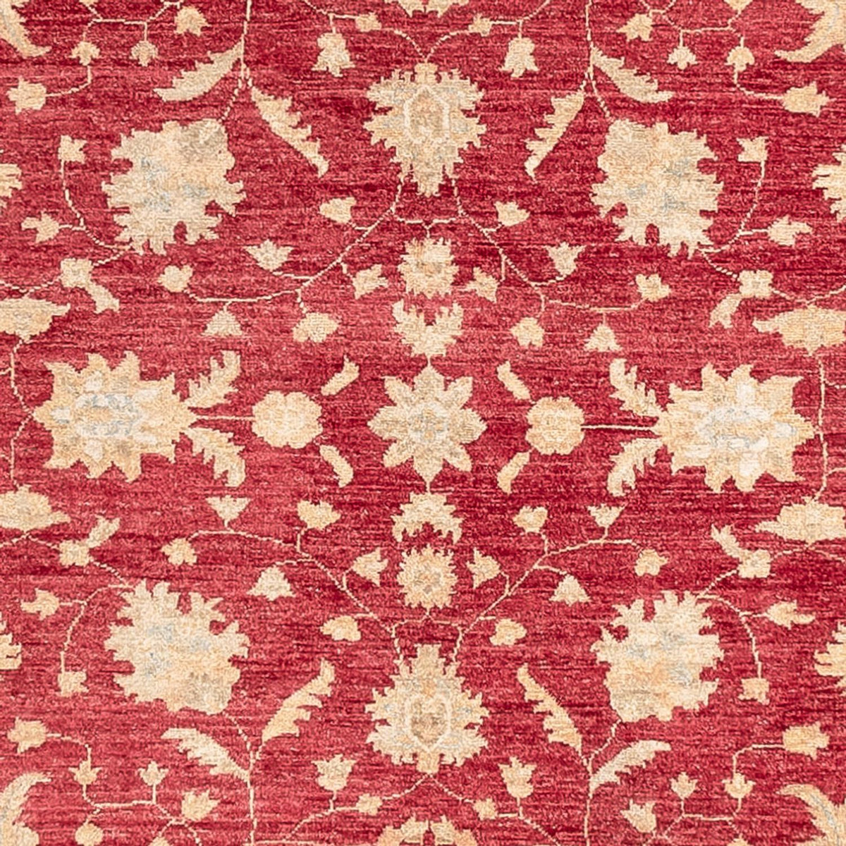 Runner Ziegler Rug - 402 x 152 cm - red