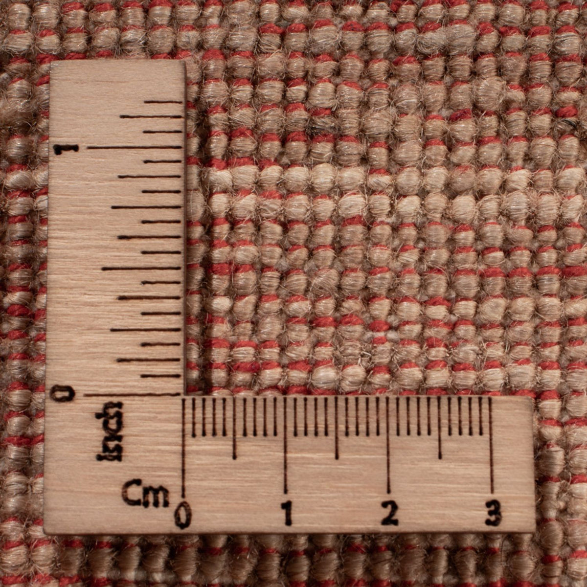 Ziegler Rug - Ariana - 370 x 273 cm - beige