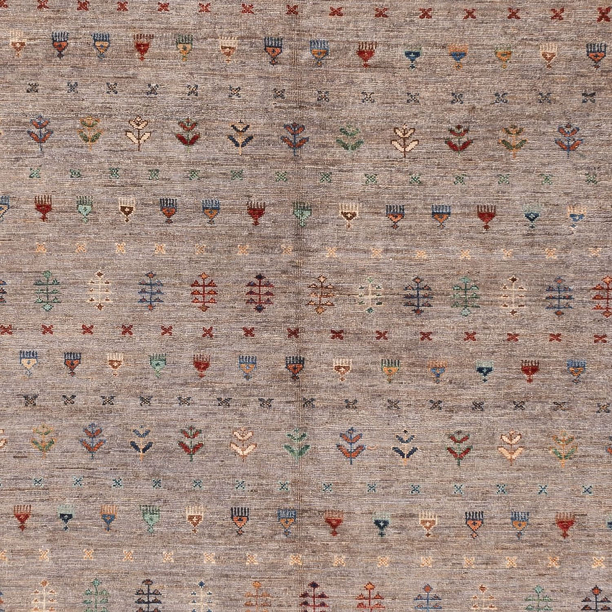 Ziegler Rug - Ariana - 383 x 276 cm - taupe