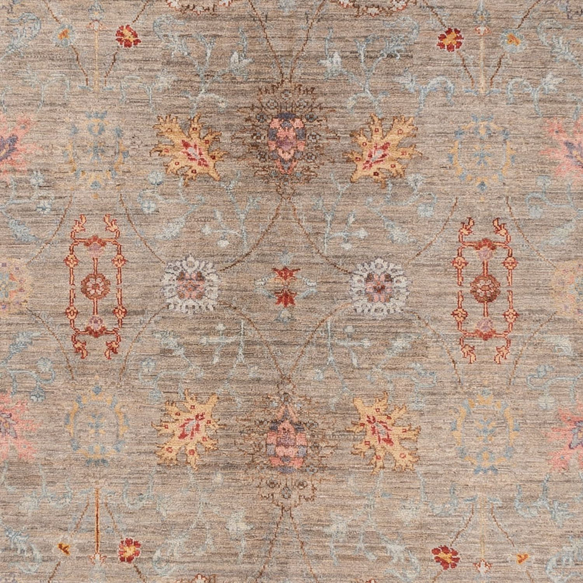 Ziegler Rug - Ariana - 376 x 270 cm - dark beige