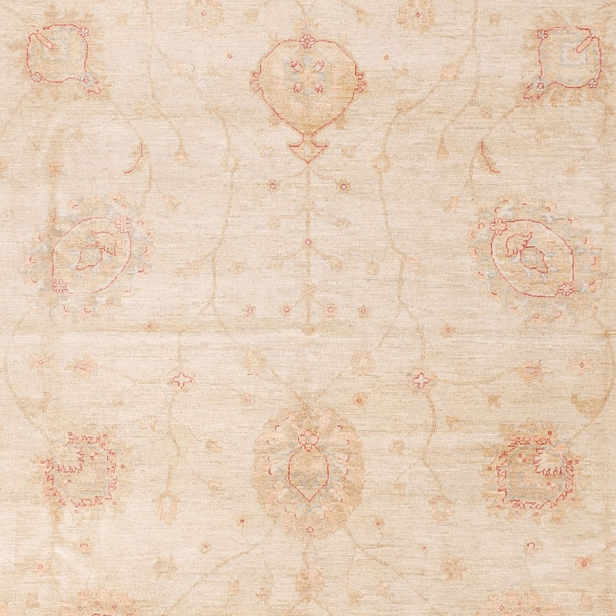 Ziegler Rug - 689 x 402 cm - beige