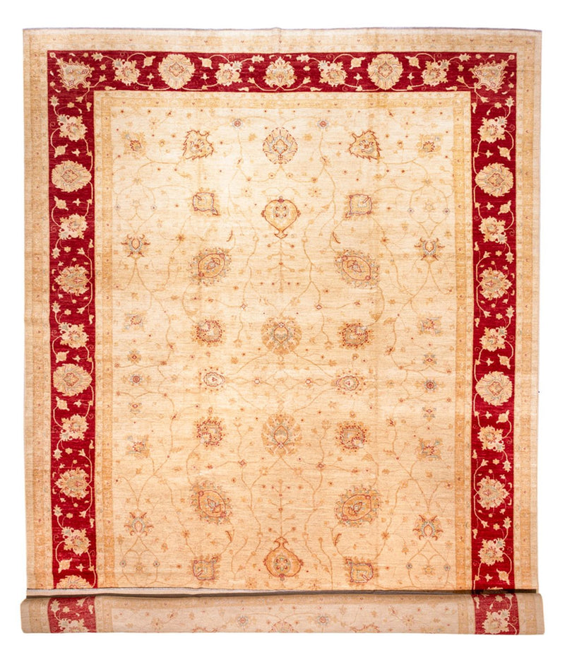 Ziegler Rug - 584 x 394 cm - beige