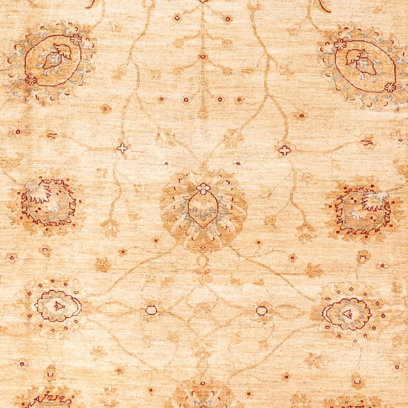 Ziegler Rug - 584 x 394 cm - beige
